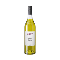 Edmond Briottet liqueur de sapin 40° 70cl