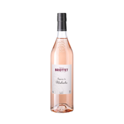 Edmond Briottet liqueur de rhubarbe 18° 70cl