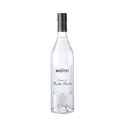 Edmond Briottet liqueur de menthe blanche 24° 70cl