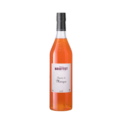 Edmond Briottet liqueur de mangue 18° 70cl