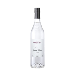 Edmond Briottet crème de cacao blanc 25° 70cl