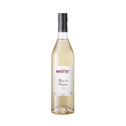 Edmond Briottet liqueur de fleur de sureau 18° 70cl