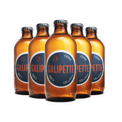 Galipette Cidre Brut 4,5% (Caisse de 24 x 33cl)