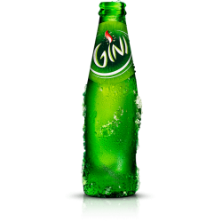 Gini (Bak 24 x 20cl)