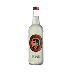 Thomas Henry Spicy Ginger Beer (6 x 75cl vid. perdues)