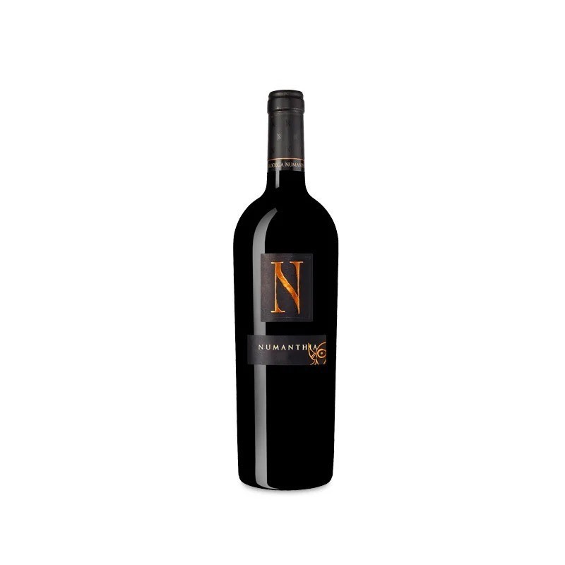 Bodega Numanthia - Namanthia - 75 cl
