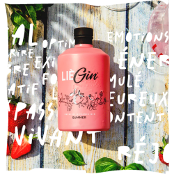 LièGin Summer BIO - 40% vol - 50cl