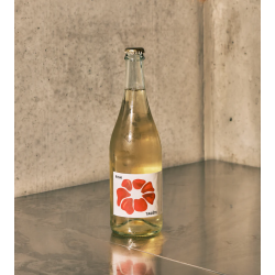 Rish kombucha - Fleur de Tagète BIO (6 x 75cl)