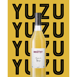 Edmond Briottet liqueur de yuzu 18° 70cl
