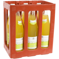 Ordal Lemon - Citron vert (Bak 6 x 1L )