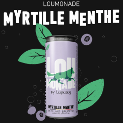 LouMonade Myrtille-Menthe (12 x 33cl blik)