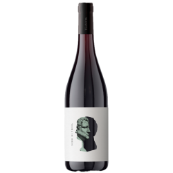 Puglia IGP Nero di Troia, Favùgnë, Cantina Teanum 75cl