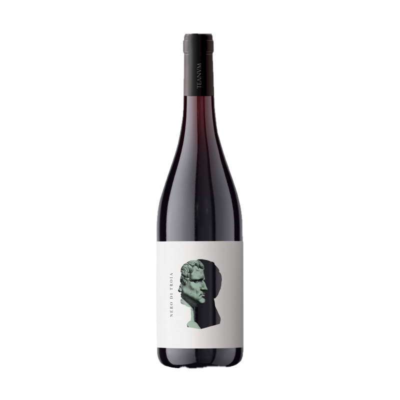 Puglia IGP Nero di Troia, Favùgnë, Cantina Teanum 75cl
