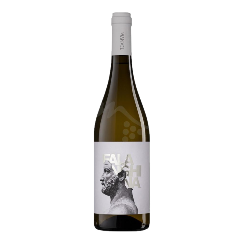 Puglia IGP Falanghina, Favùgnë, Cantina Teanum 75cl