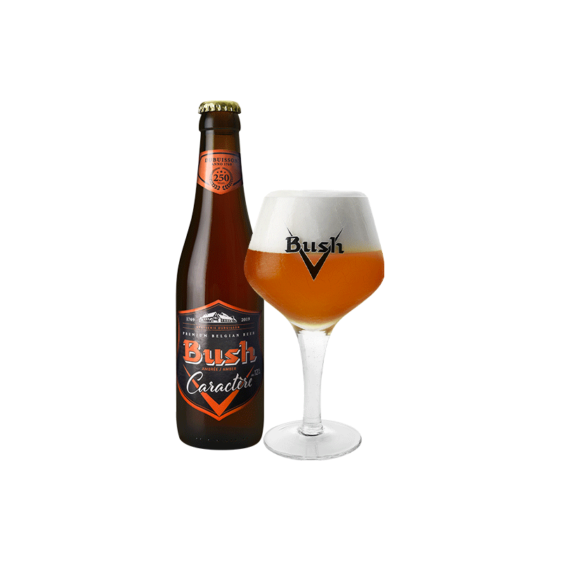 Bush Ambrée Caractère 12% (Bak 24 x 33cl)