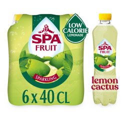 Spa Fruit Lemon-Cactus (24 x 40cl PET)