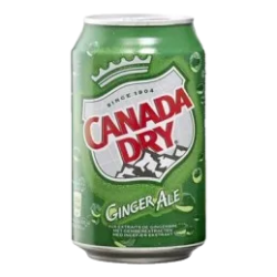 Canada Dry (24 x 33cl blik)
