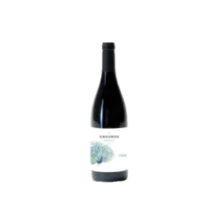 Vin de France, Château Gragnos, Léon rouge 75cl