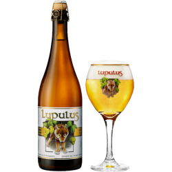 Lupulus Blonde (Casier de 12 x 75cl)