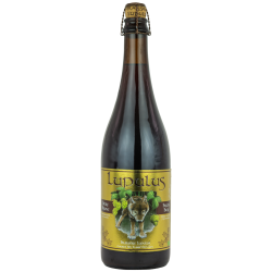 Lupulus Brune (Bak 12 x 75cl)