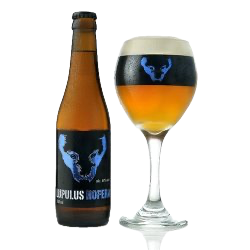 Lupulus Hopera 6% (Casier 24 x 33cl)
