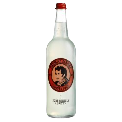 Thomas Henry Spicy Ginger Beer (24 x 20cl vid. perdues)