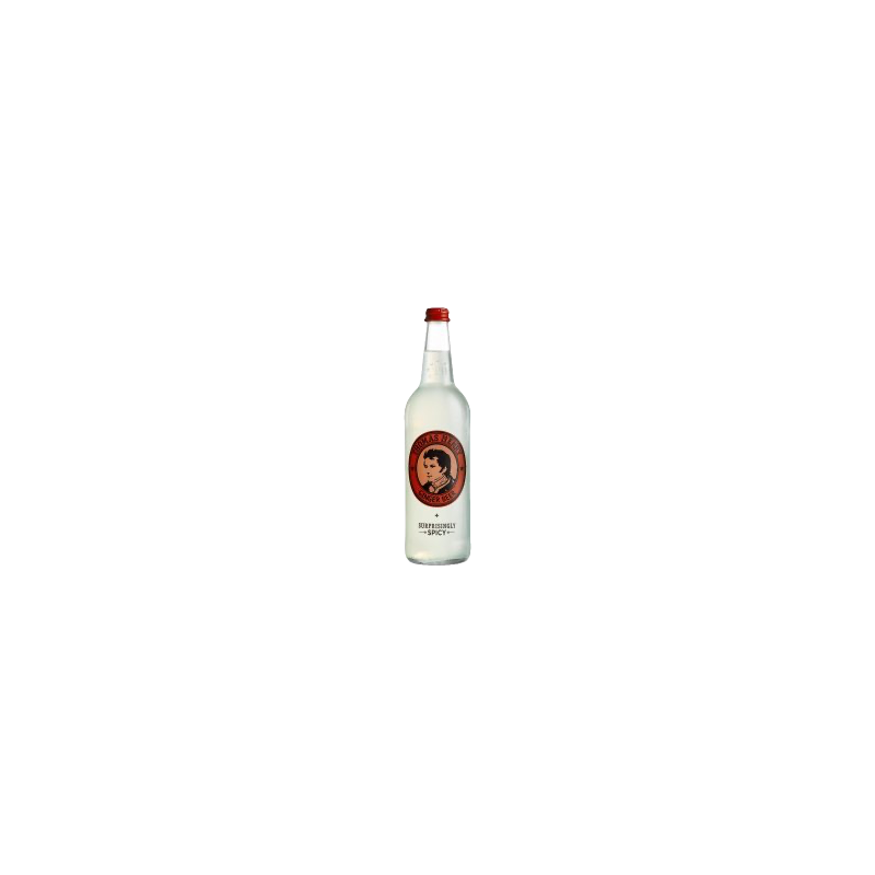 Thomas Henry Spicy Ginger Beer (24 x 20cl vid. perdues)