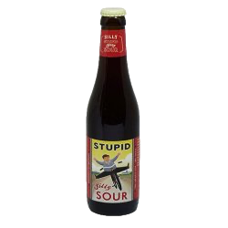 Silly Stupid Sour 5,5% (Caisse de 24 x 33cl OW )