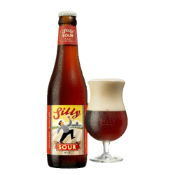 Silly Sour 5,5% (Casier de 24 x 33cl)