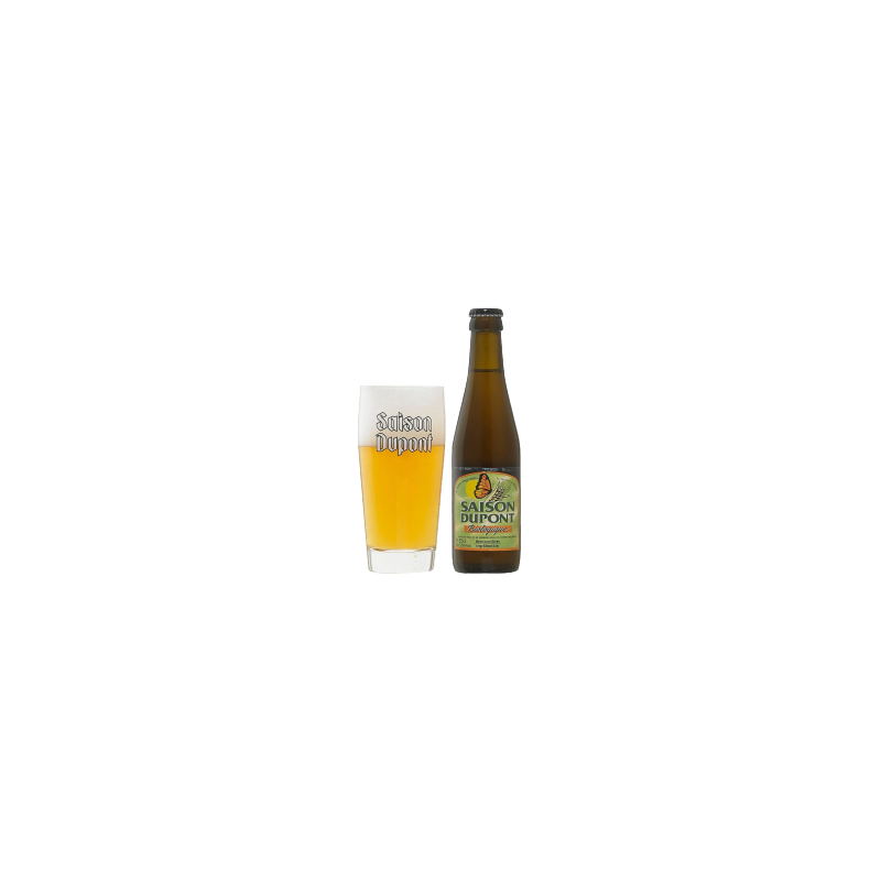 Saison Dupont Bio 5,5% (Bak 24 x 33cl)