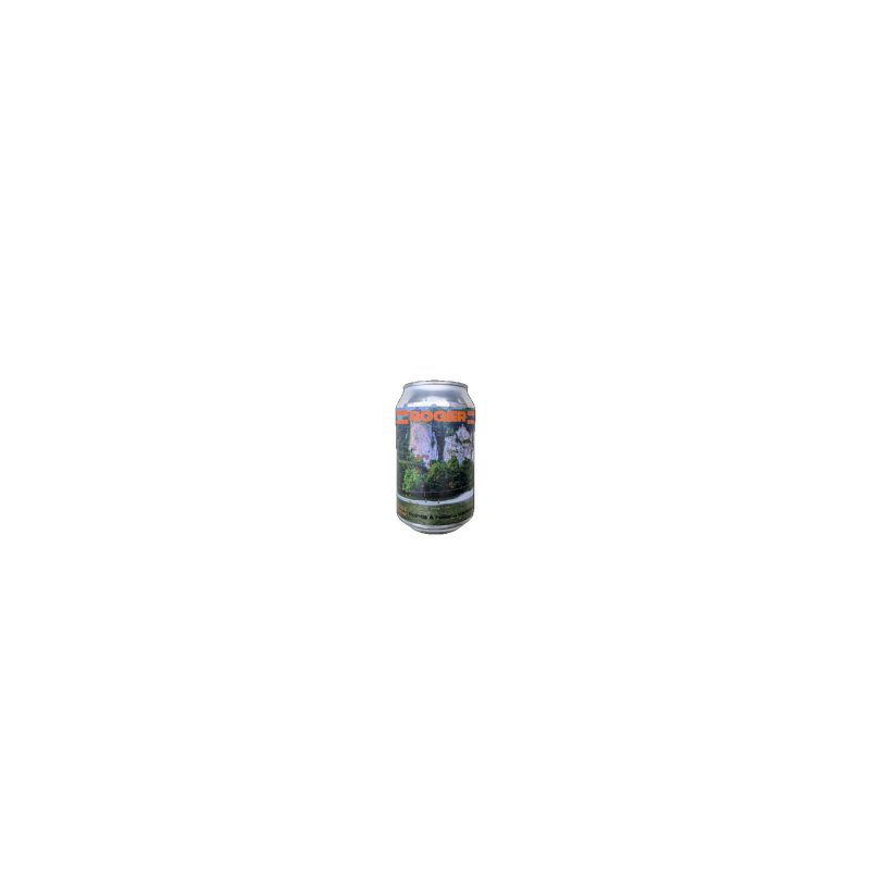Plaisir - Roger - 5,5% (24 x 33cl blik)
