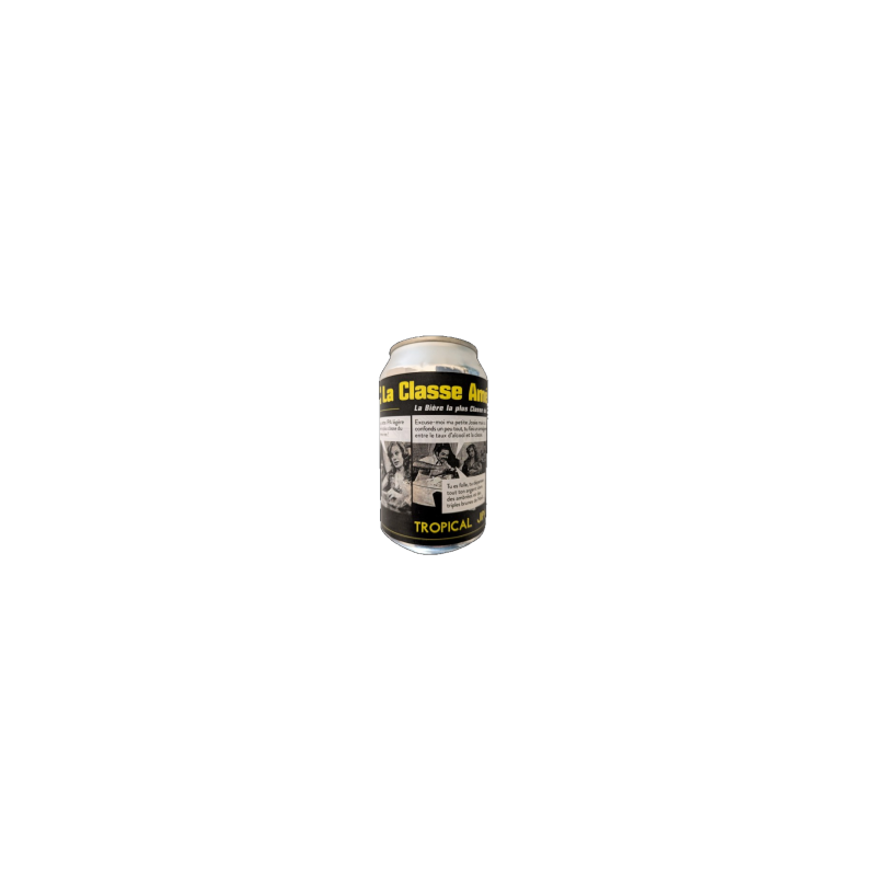 Plaisir - Classe Américaine - 5% (24 x 33cl blik)