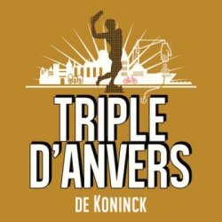 Triple d'Anvers 8% (Vat 20L)